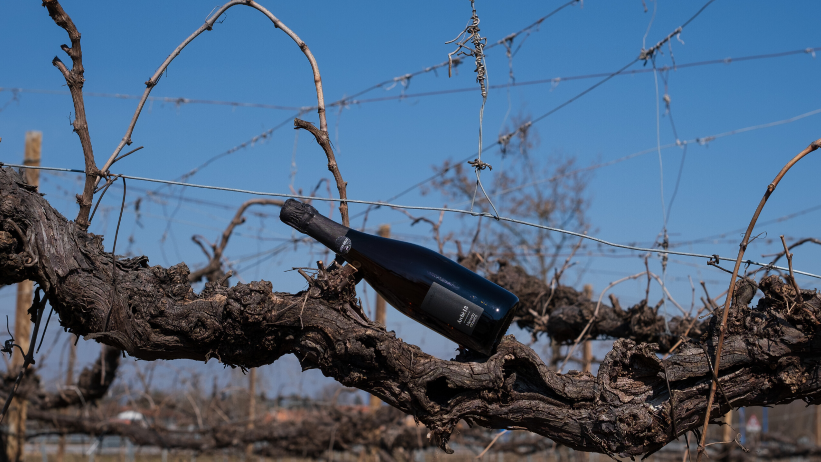 rosaramo-raboso-metodo classico